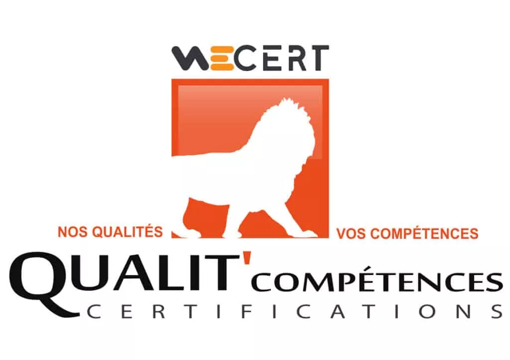 Logo LCP